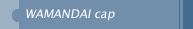 WAMANDAI cap